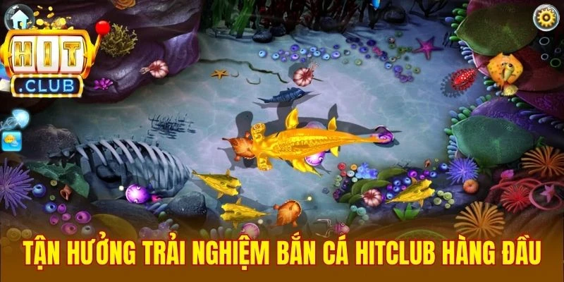 Tận hưởng trải nghiệm bắn cá Hitclub hàng đầu